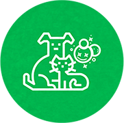 Banho & Tosa