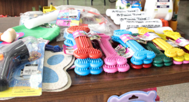 Brinquedos & Acessórios